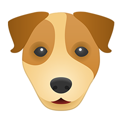 25 dog